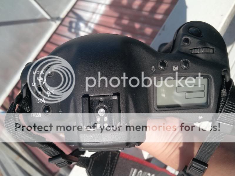 SG-BD -  Bán Canon 1D Mark IIN + 50/1.4