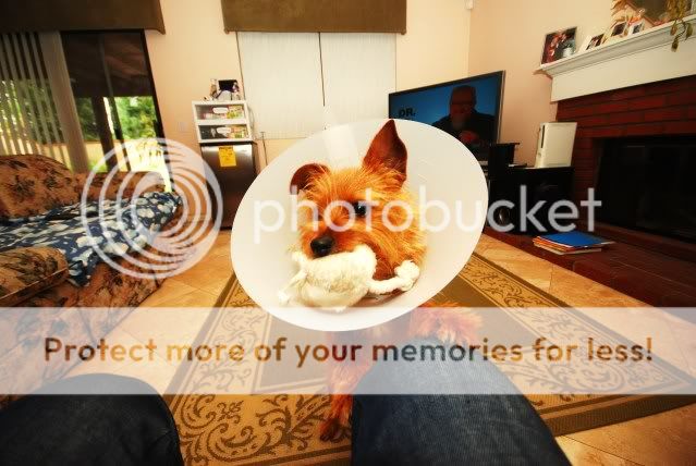 Photobucket