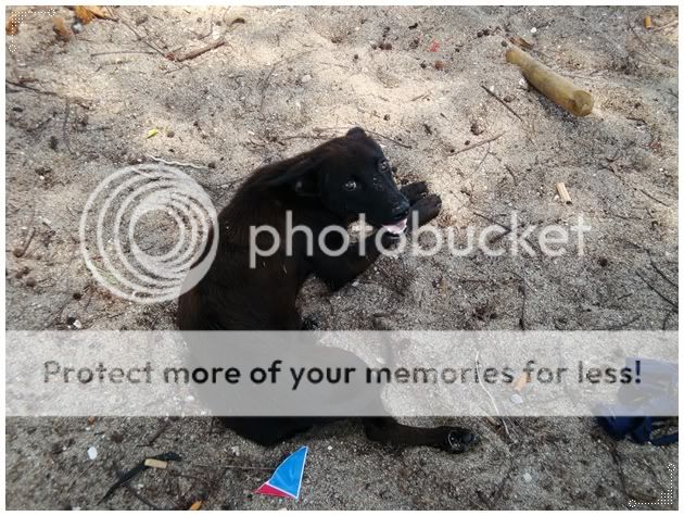 Click on the image for full size