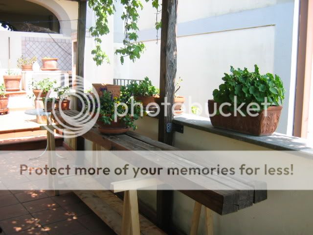 Flowers for any table