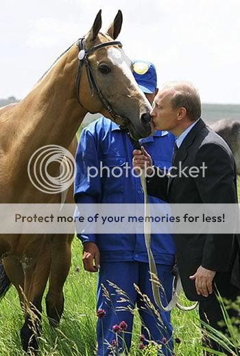Forum Image: http://i647.photobucket.com/albums/uu197/TuddRussell/Arty%20Crap/putin-loshad.jpg