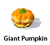 giantpumpkin.png