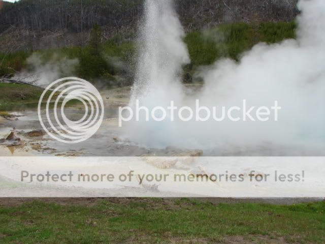 geyser Pictures, Images and Photos