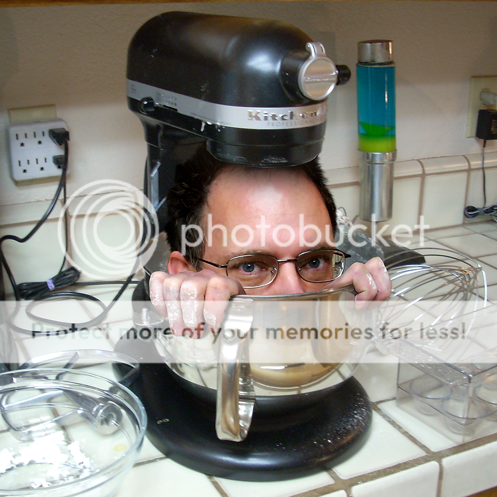 KitchenAid Mixer Accident Photo by sdjim Photobucket